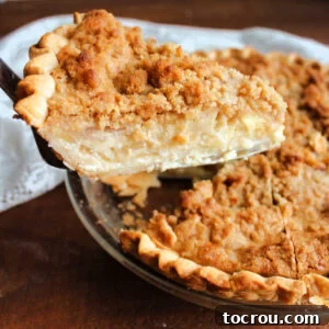 A slice of streusel-topped apple custard pie being lifted from the dish, revealing creamy vanilla custard surrounding apple slices beneath a golden-brown crumb topping.