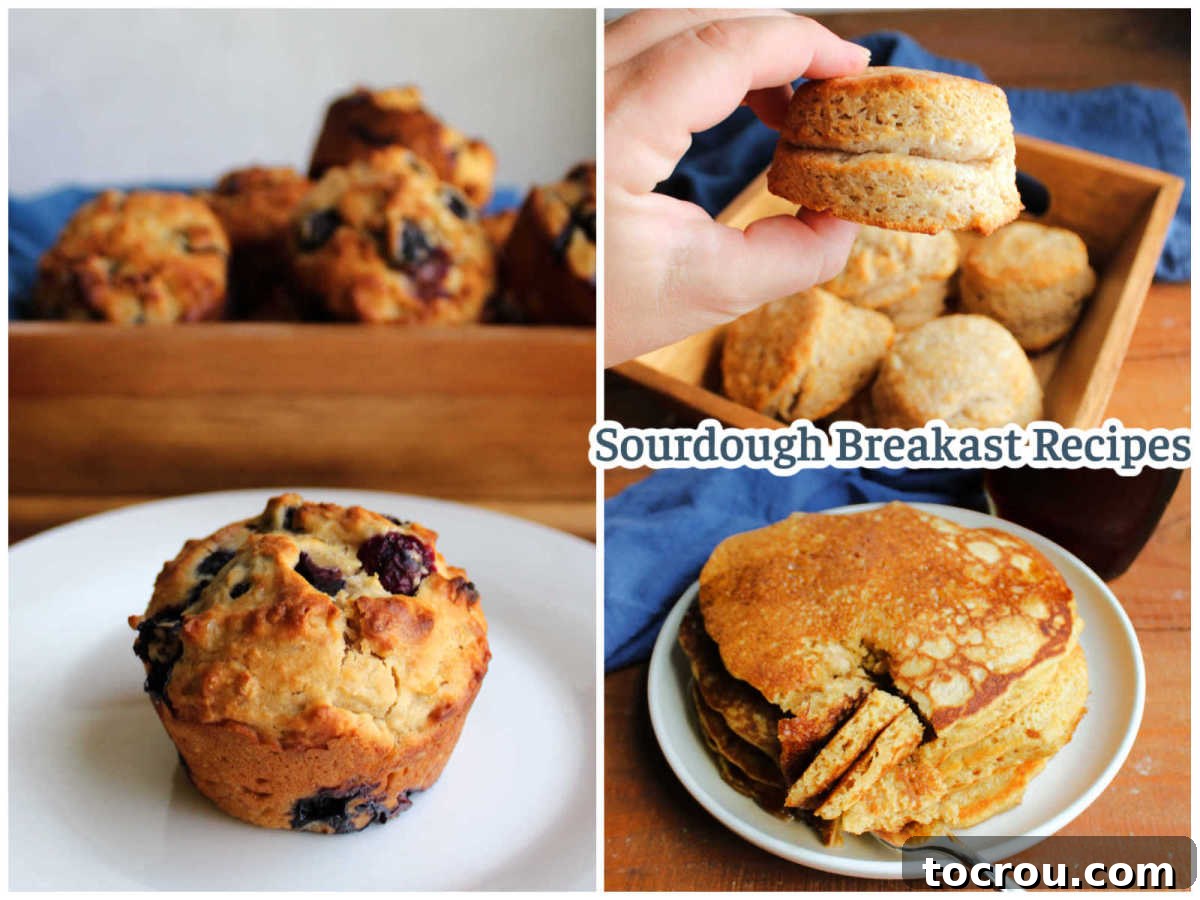 A vibrant collage of sourdough breakfast recipes including fluffy sourdough blueberry muffins, golden sourdough biscuits, and perfectly stacked sourdough pancakes, inviting you to a delicious morning.