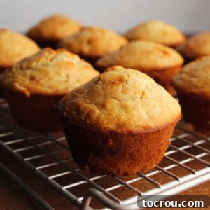 Golden brown orange creamsicle sourdough muffins, enriched with oats and sourdough discard, cooling on a wire rack.