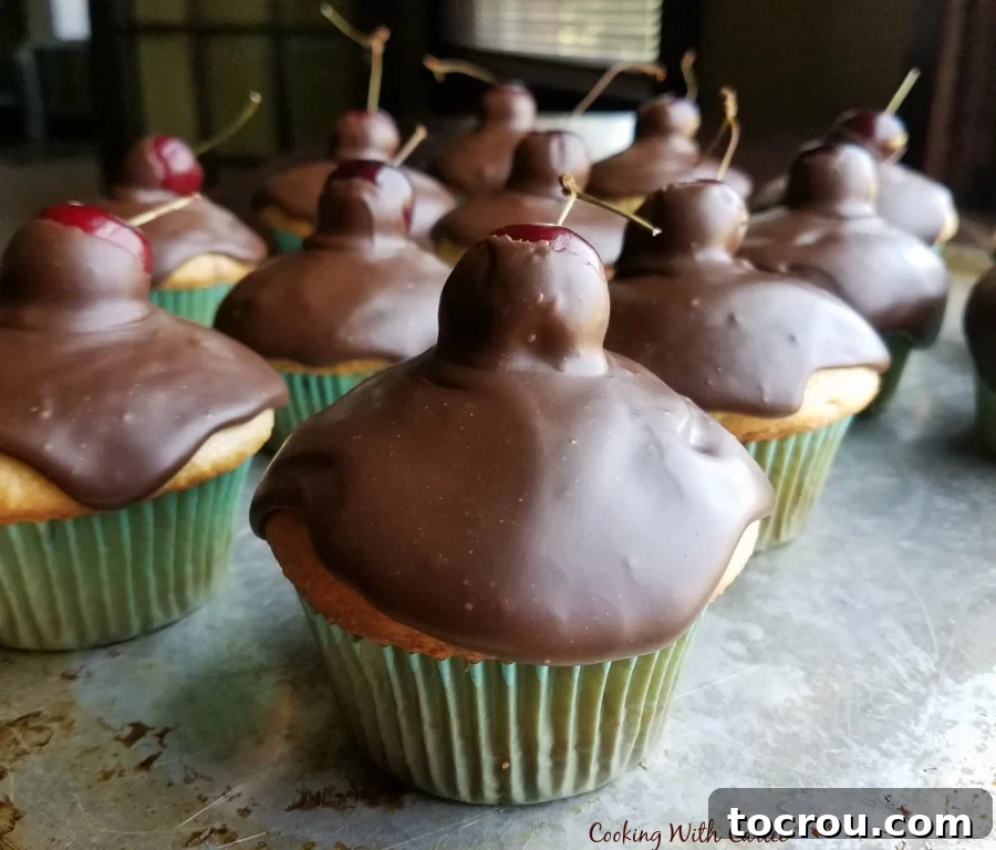 Homemade cherry chocolate chip cupcakes topped with a fresh cherry and chocolate fudge icing, showing its perfect sheen.
