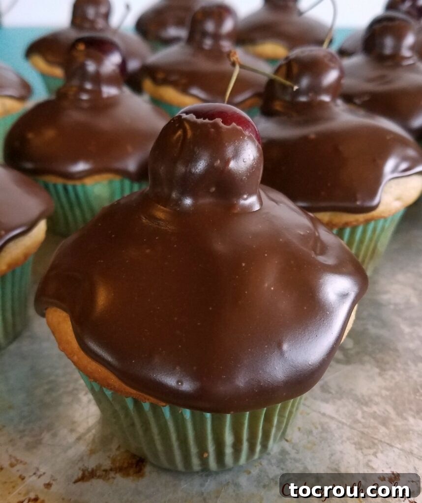 Close up of cherry cupcakes with shiny fudge icing and fresh cherry on top, highlighting the smooth texture.