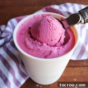 Ice cream scoop dipping out a scoop of homemade cranberry ice cream with a deep pinkish purple color and creamy texture.