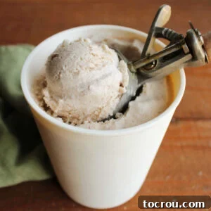 Vintage ice cream scoop getting a ball of homemade cinnamon ice cream out of storage container showing speckles of cinnamon throughout creamy base.