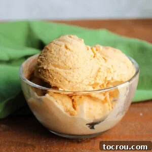 Small glass bowl of homemade pumpkin ice cream with smooth texture and dots of cinnamon and spices inside.