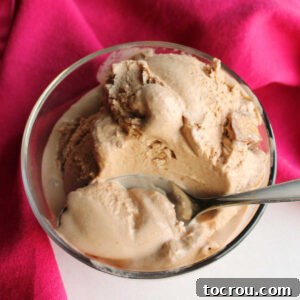 bowl of soft chocolate ice cream with peanut butter chunks.