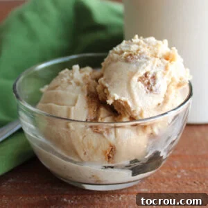 Bowl of homemade cookie butter ice cream with chunks of Biscoff cookies inside, ready to eat.