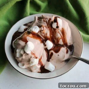 bowl of chocolate ice cream with marshmallows and hot fudge.