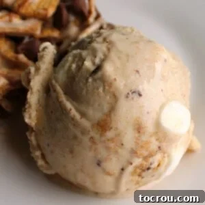 Close scoop of s'mores ice cream with toasted marshmallow base, graham crackers, marshmallows and chocolate inside.