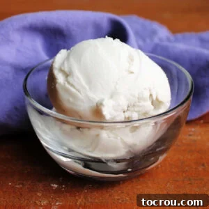Small glass bowl filled with bright white creamy coconut ice cream.