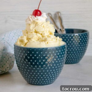 blue bowl full of lemonade no churn ice cream with whipped cream and cherry.