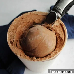 Ice cream scoop scooping a ball of homemade chocolate ice cream out of the storage container.
