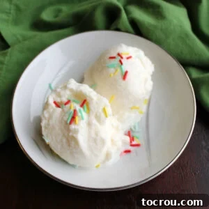 small bowl with two scoops of snow ice cream and colorful sprinkles.
