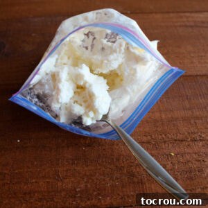 Plastic zipper bag filled with a helping of freshly made vanilla ice cream and a spoon, ready to be enjoyed.