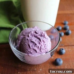 Small glass bowl with blueberry ice cream with deep purple color showing how much fruit is in the mix and a smooth texture, ready to eat.