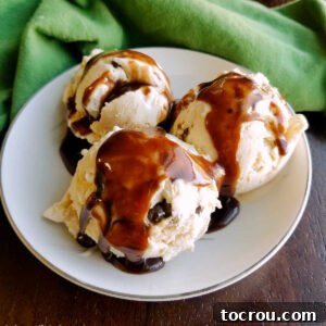 Bowl of peanut butter chocolate chip no churn ice cream topped drizzled with homemade hot fudge sauce.