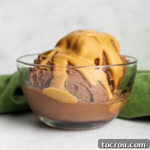 small bowl of chocolate peanut butter nice cream with peanut butter nice cream on top