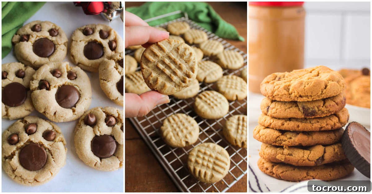 16 Peanut Butter Cookie Recipes You'll Crave 2 Collage of images including peanut butter paw print cookies, classic peanut butter cookies, and peanut butter chocolate chip cookies, showcasing the delightful variety in this collection.