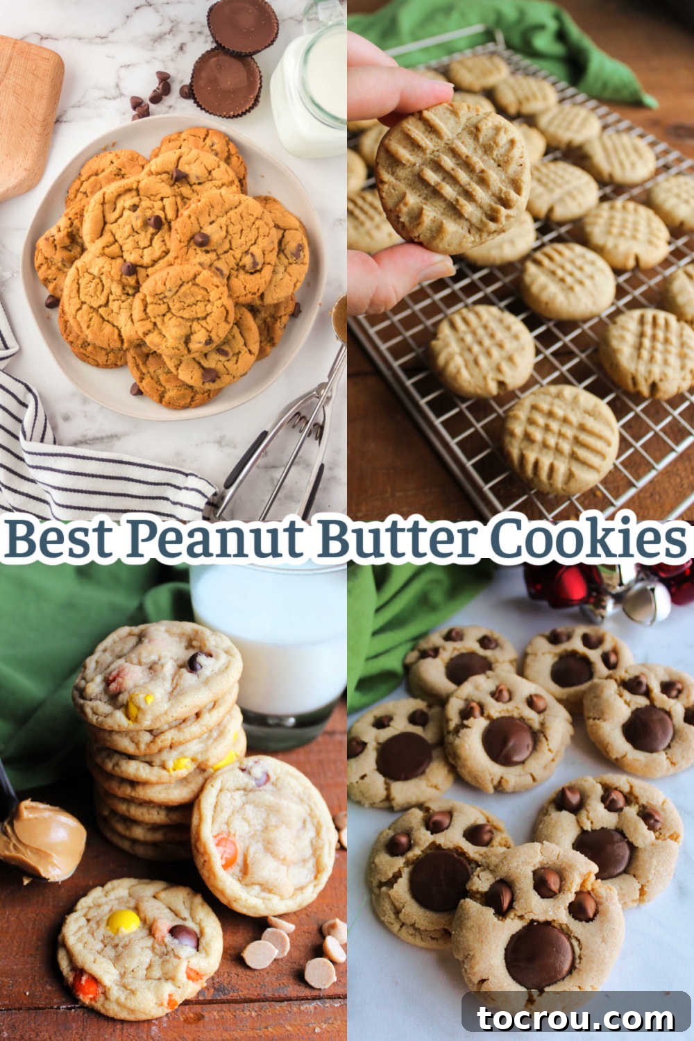 16 Peanut Butter Cookie Recipes You'll Crave 19 Collage of images showcasing various peanut butter cookies, including chocolate chip, sourdough, paw print blossoms, and triple peanut butter varieties, highlighting the diversity of recipes.