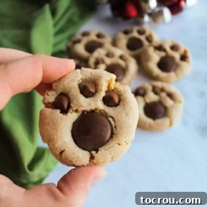 Hand holding peanut butter bear paw cookie with chocolate pieces making paw shape.