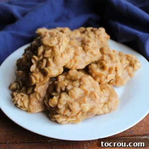 Close up of a plate of no-bake peanut butter cookies with oatmeal, ready to eat.