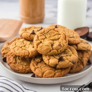 Plate of chewy peanut butter chocolate chip cookies ready to eat.