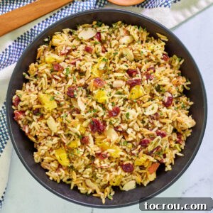 Feast Worthy Thanksgiving Sides 16 A elegant serving bowl filled with aromatic cranberry orange rice pilaf, garnished with fresh herbs, toasted almonds, and a harmonious blend of orzo and rice.