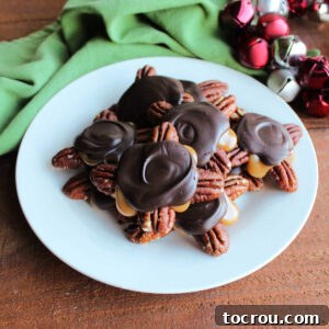 31 Sweet Homemade Treats 7 A plate of homemade turtles, featuring roasted pecans, soft homemade caramel, and a rich dark chocolate coating.