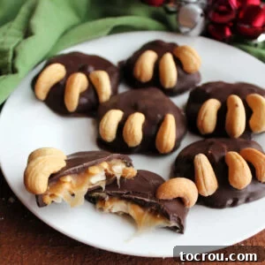 31 Sweet Homemade Treats 9 A close-up of a plate of bear paw candies, with one broken open to show the gooey caramel and cashew center, enveloped in a rich chocolate coating.