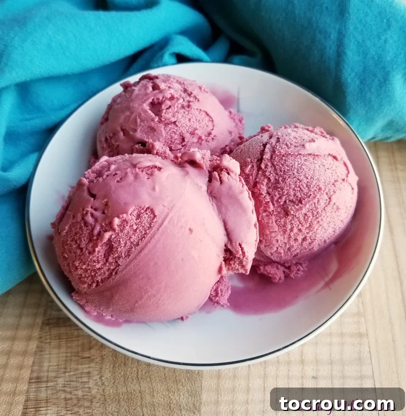 Sweet, smooth, creamy and full of fresh blackberry flavor! Summer just got a new favorite treat... blackberry ice cream! 3 big purple scoops of blackberry ice cream in small white bowl.