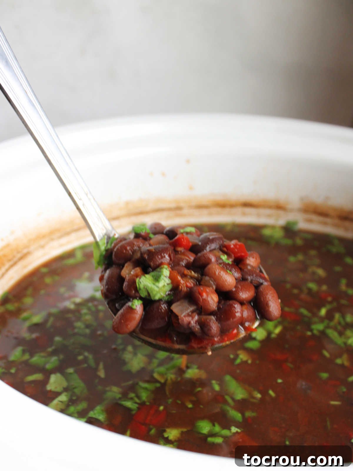 Ladle scooping out a serving of crockpot black bean soup.