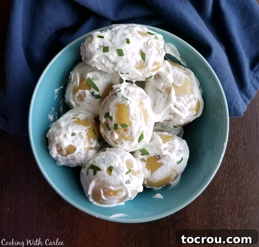 small bowl of little sour cream coated potatoes.