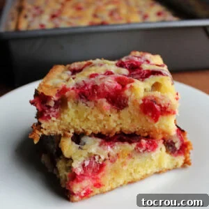Cranberry Snack Cake Two enticing cakey bars, generously dotted with fresh cranberries, are stacked invitingly, highlighting their rustic charm and vibrant fruit inclusion.