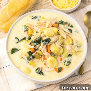 A bowl of creamy chicken soup filled with tender spinach, vibrant carrots, crisp celery, and soft gnocchi, perfectly ready to eat.
