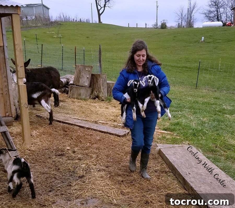 Goat's Milk Source: Happy Goats A woman tenderly carrying two baby goats, with other adult goats nearby in a pastoral setting, highlighting the source of fresh goat's milk.