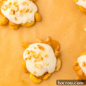 White chocolate and chopped cashews on top of the caramel and cashew bases, ready to cool and set up.