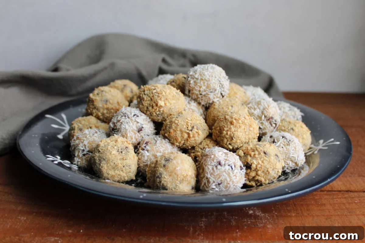 Plate of Moose Farts Large plate filled with small moose farts cookie balls with mini chocolate chips, graham crackers and coconut in a creamy base.