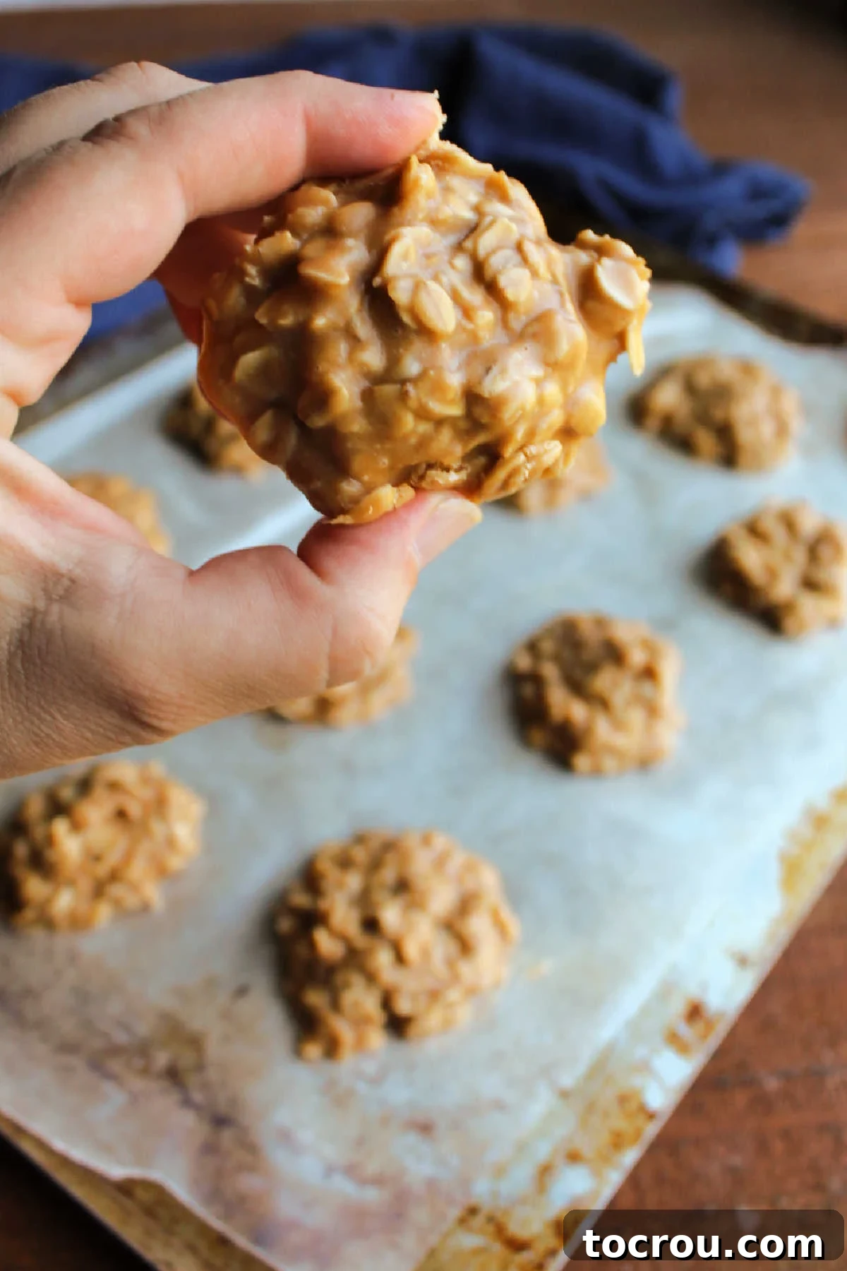 A hand gently holding a perfectly formed peanut butter no-bake cookie with visible oats.