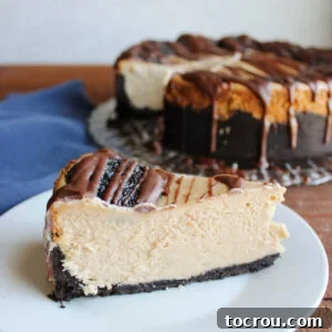 A delightful slice of cheesecake, featuring a rich chocolate Oreo crumb crust, a smooth and creamy peanut butter cheesecake filling, and a whole Oreo cookie perched on top, adorned with a delicate chocolate drizzle, all ready to be savored.