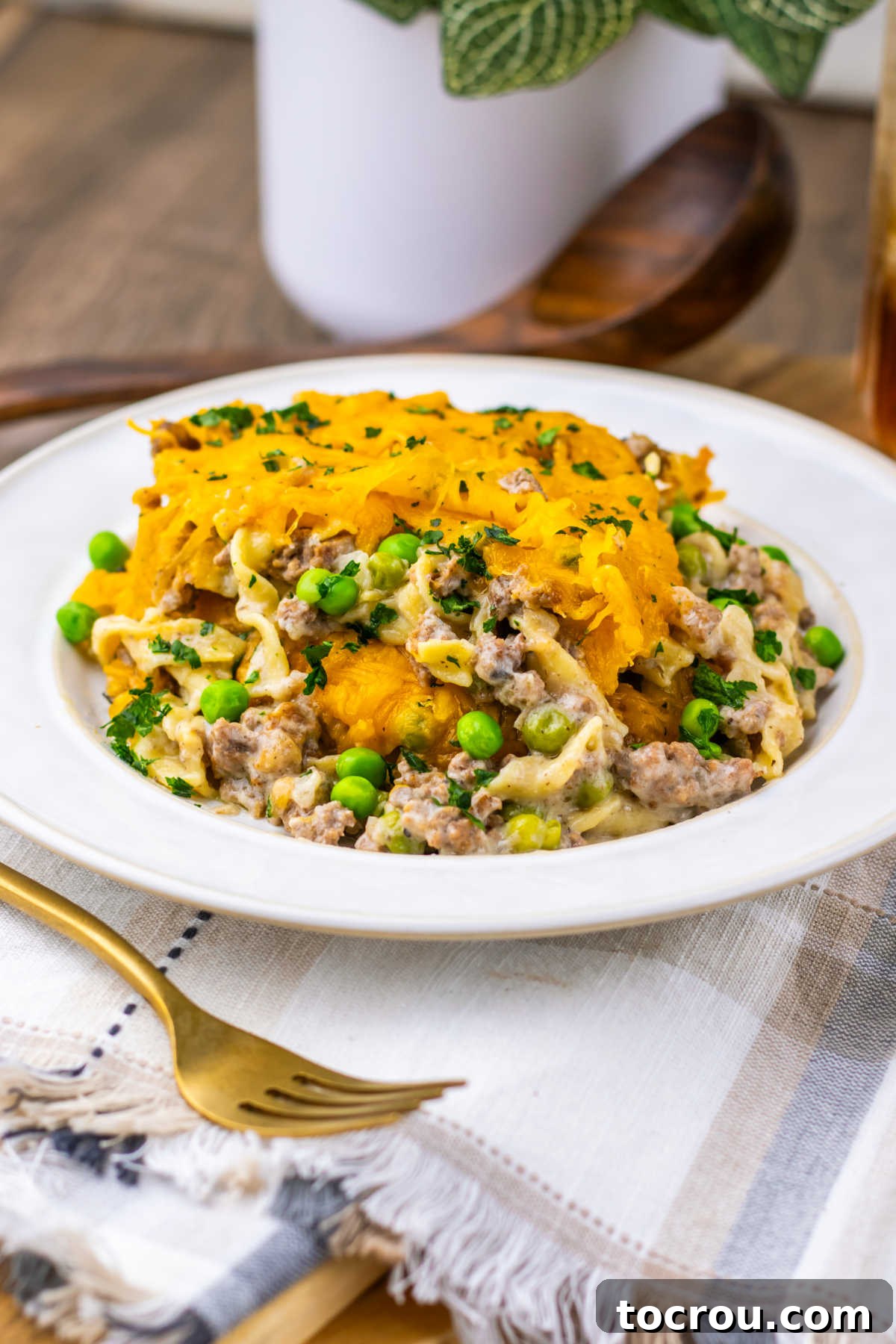 A freshly served plate of Amish Casserole, presenting a harmonious mix of tender egg noodles, savory ground beef, and green peas, all unified by a luscious creamy sauce and generously topped with a layer of perfectly melted cheese.