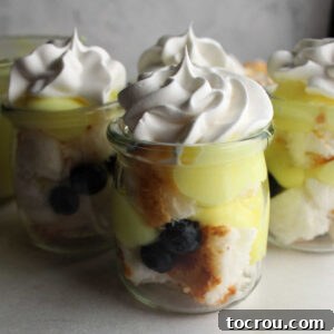 Zesty Lemon Blueberry Parfaits 6 Small glass jars filled with layers of angel food cake, blueberries, lemon yogurt mixture and topped with whipped cream.