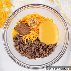Mixing bowl with browned ground beef, taco seasoning, cheddar cheese, minced garlic, and cheese sauce.