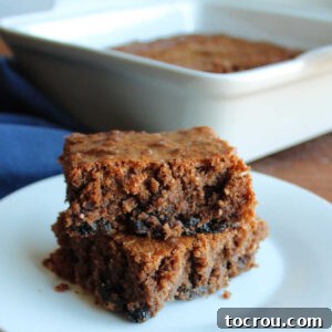 Two pieces of prune brownie stacked on top of each other on a small plate, showing fudgy texture with little bits of prune throughout.