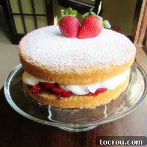 Whole Victoria Sponge Cake with strawberries and whipped cream filling, ready to serve.