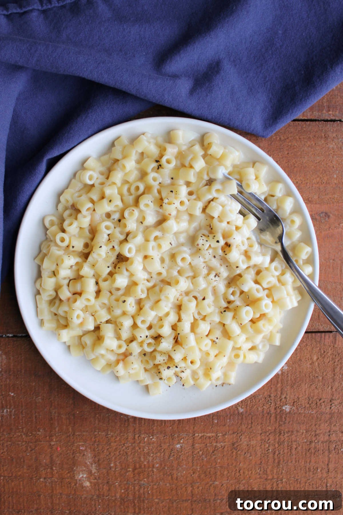 A plate brimming with creamy ditalini pasta, glistening with Parmesan cheese sauce and ready to be enjoyed, showcasing its irresistible texture.