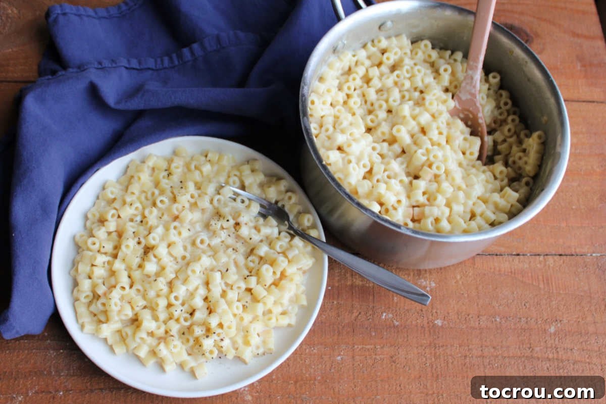 A plate of creamy one-pot ditalini pasta, perfectly cooked, resting next to the saucepan from which it was served, with more pasta visible inside.