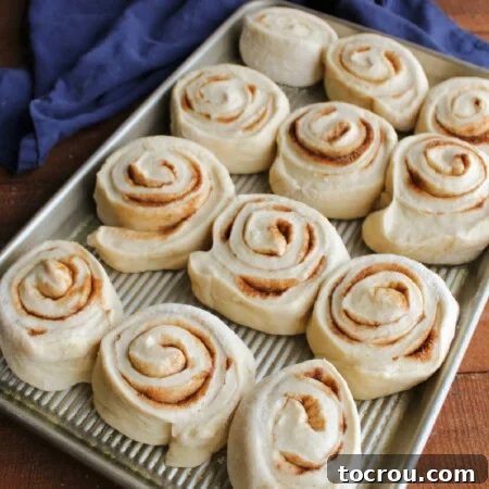 Pan with 12 freshly formed cinnamon rolls on it, ready to let them proof.