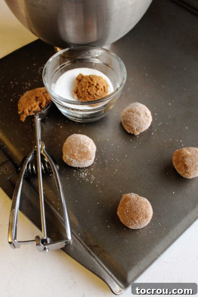 Scooping out molasses cookie dough and rolling in sugar before baking.