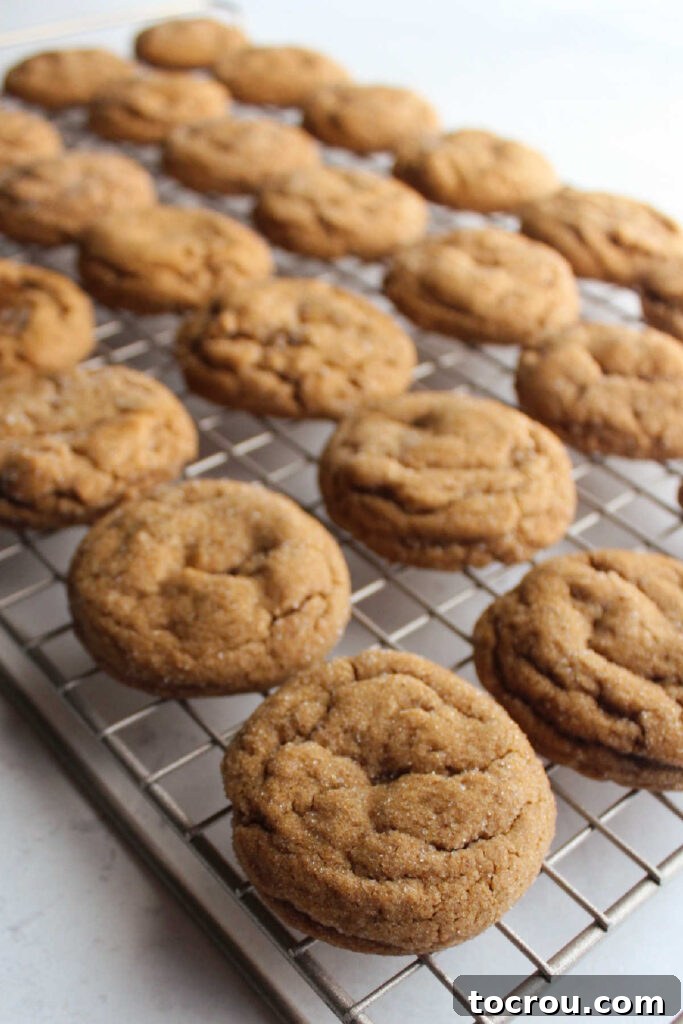 Soft ginger molasses cookies cooling on a wire rack.
