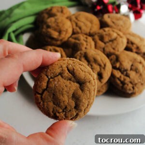 Hand holding crinkly looking spiced molasses cookie.