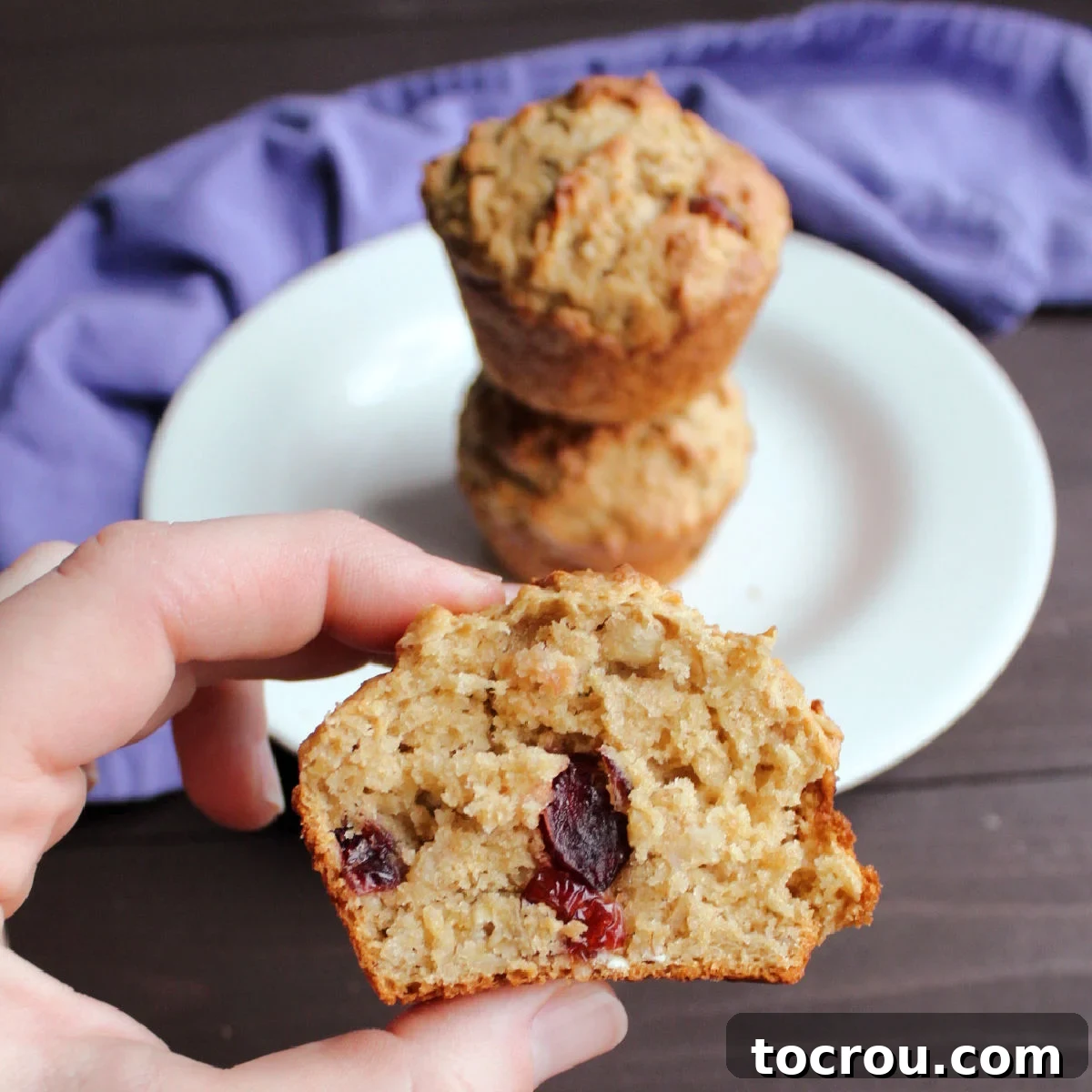 Hand holding half of a delicious cranberry orange sourdough oatmeal muffin.
